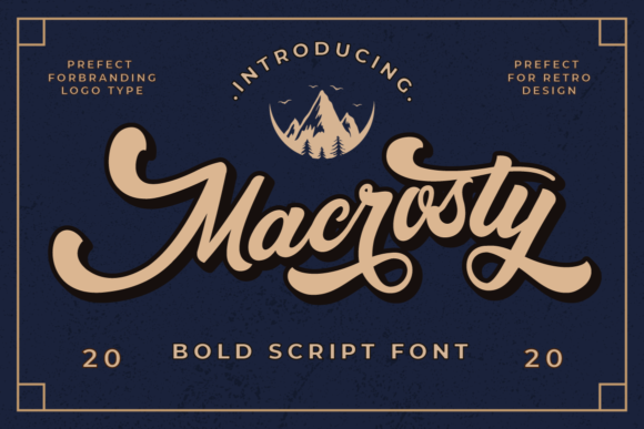 How Macrosty Transformed My Brand's Visual Identity