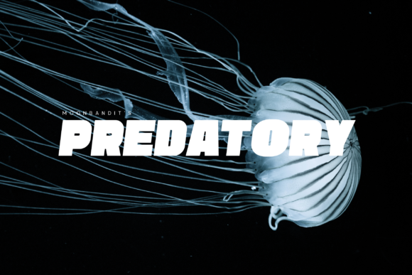 Predatory Font for Editorial Design
